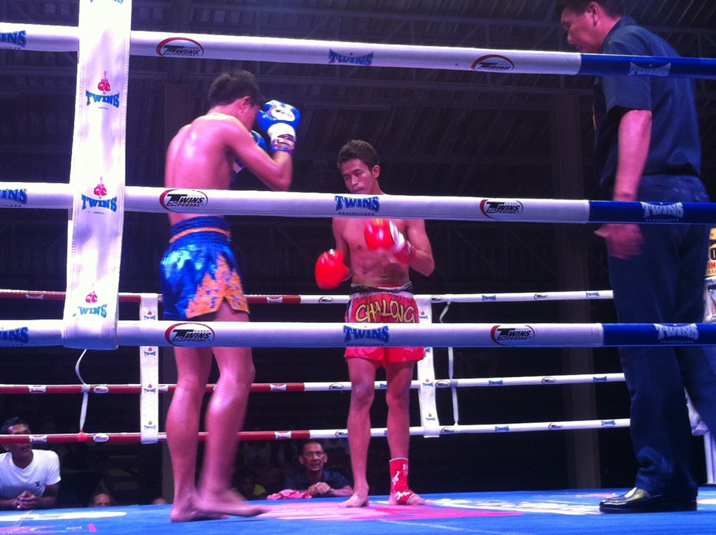 muay thai